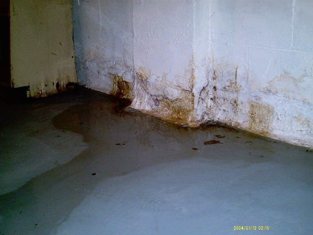 Super Dry Basement Super Dry Basement